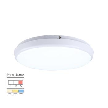12W Round Dimmable LED Ceiling Lamp