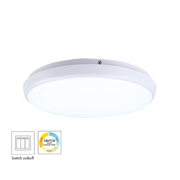 250mm Round Dimmable LED Ceiling Lamp