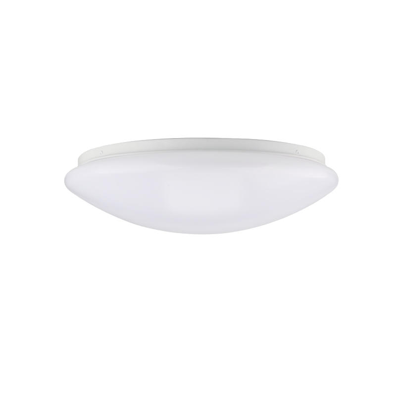 258mm Round Dimmable LED Ceiling Lamp