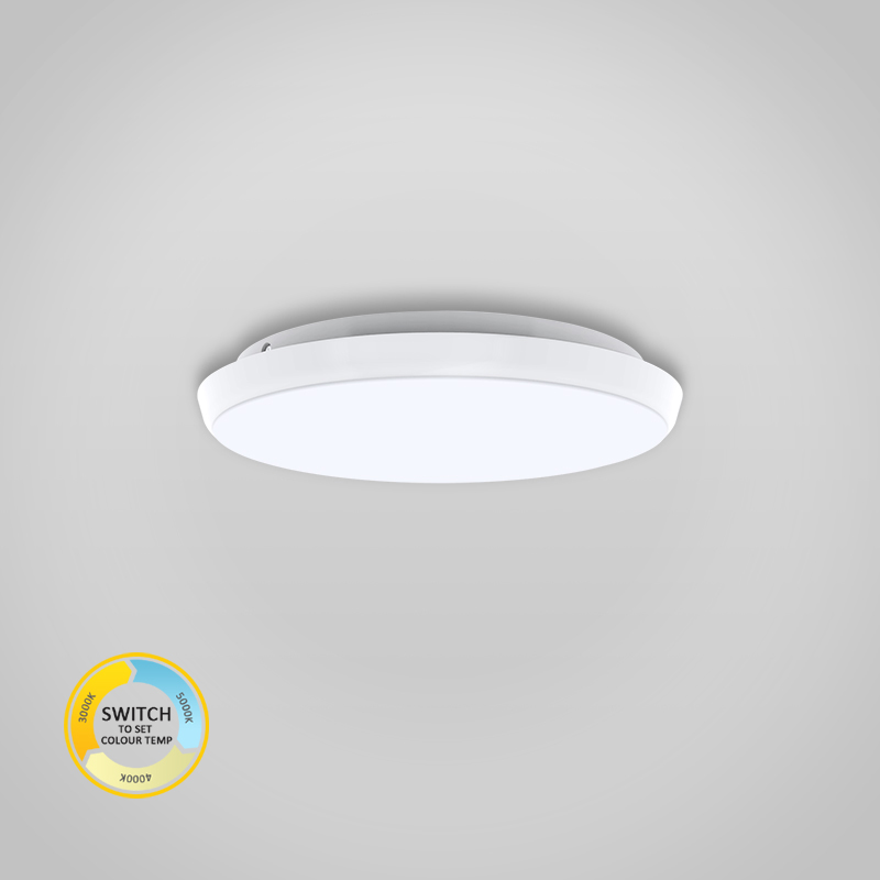 248mm Round Dimmable LED Ceiling Lamp