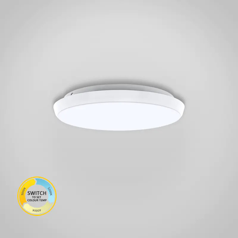248mm Round Dimmable LED Ceiling Lamp